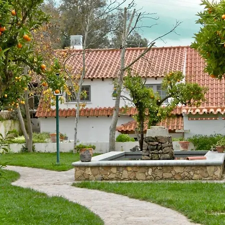 Aura Vinea * Alenquer