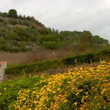 Aura Vinea * Alenquer